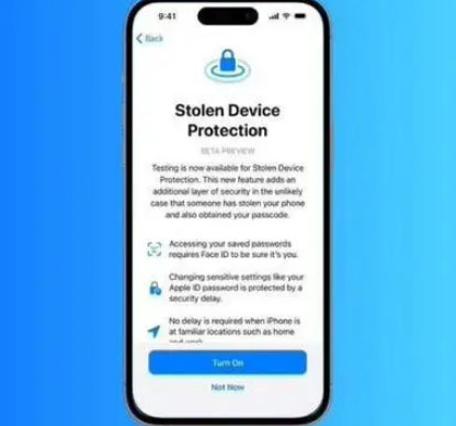 景谷苹果授权维修店分享被盗设备保护功能开启方法 