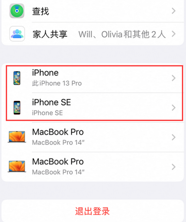 景谷苹景谷果维修网点分享iPhone如何查询序列号