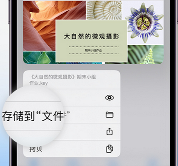 景谷apple维修中心分享iPhone文件应用中存储和找到下载文件