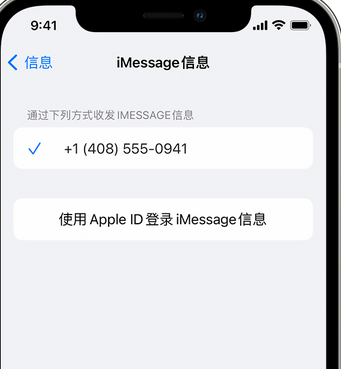 景谷apple维修iPhone上无法正常发送iMessage信息 