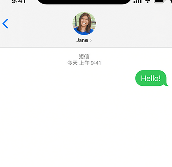 景谷apple维修iPhone上无法正常发送iMessage信息