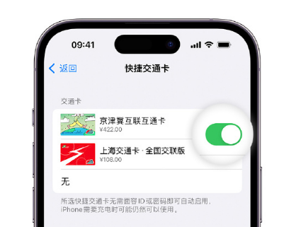 景谷apple维修点分享iPhone上更换Apple Pay快捷交通卡手绘卡面 