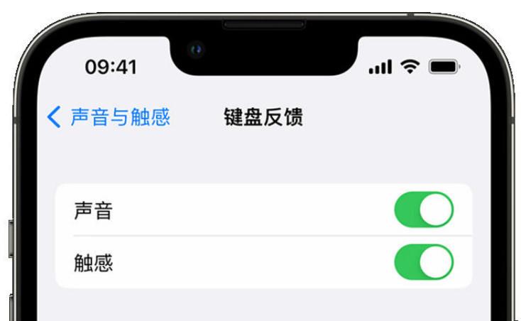 景谷苹果手机维修分享iPhone 14触感键盘使用方法 