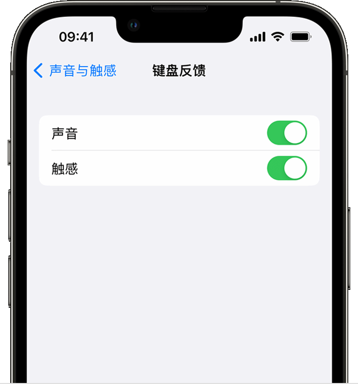 景谷苹果14维修店分享如何在 iPhone 14 机型中使用触感键盘 