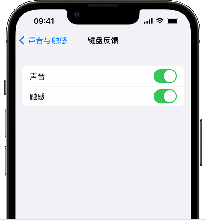 景谷苹果14维修分享iPhone 14 系列机型如何开启键盘声音或触感反馈 