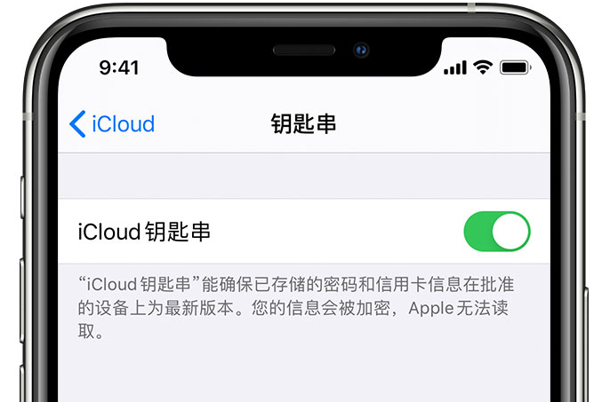 景谷苹果手机维修分享在 iPhone 上开启 iCloud 钥匙串之后会储存哪些信息 