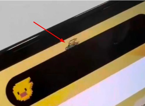 景谷苹果14维修分享iPhone 14 Pro Max灵动岛怎么养宠物 