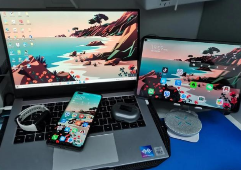景谷苹果手机维修分享为什么iPad屏幕更大价格却比iPhone低 