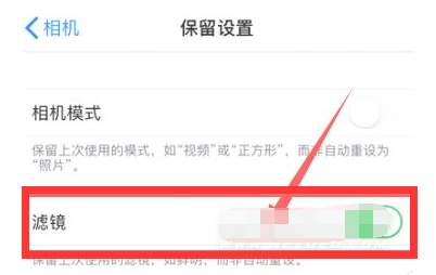 景谷苹果13维修分享iPhone13拍照有绿点是怎么回事 