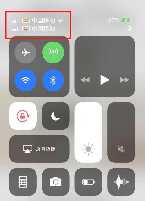 景谷苹果手机维修分享为 iPhone 12 双卡设置标签 